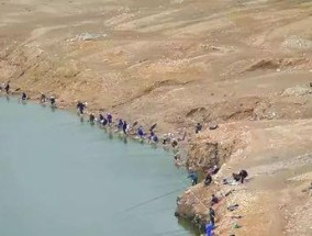 大型水库野钓技巧讲解？如何提高钓鱼成功率？
