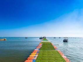 海水浴场钓鱼技巧有哪些？如何提高钓鱼成功率？