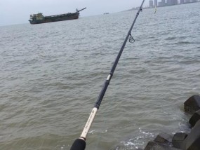 如何正确调漂钓带鱼？掌握这些技巧轻松钓到带鱼！