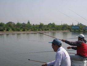 如何掌握钓鱼技巧以防止鱼儿逃脱？