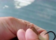 冬天钓鱼技巧口诀是什么？如何提高冬季钓鱼成功率？
