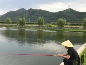 如何掌握钓鱼抛钩的技巧教程？常见问题有哪些？