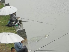 海河钓鱼技巧教学有哪些常见问题？如何解决？