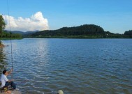 冬天水库野钓技巧有哪些？如何选择合适的钓法？
