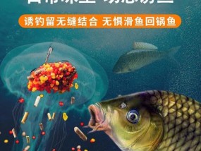 冬季野钓滑口鲫鱼的技巧（钓友必备）
