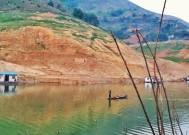 红水河垂钓技巧（钓鱼达人分享红水河垂钓经验）