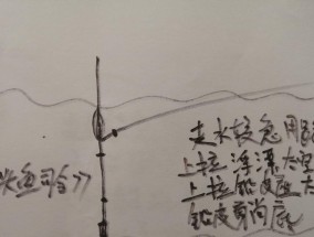 夜钓走水调漂的正确方法与技巧（享受夜晚的钓鱼乐趣）