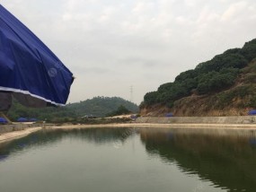 天气池塘钓鱼技巧（掌握天气因素）