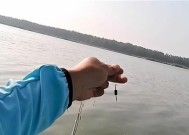 冬季走水钓鱼技巧和方法是什么？如何提高冬季走水钓鱼的成功率？
