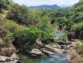 野外水潭放鱼笼钓鱼技巧（掌握技巧）
