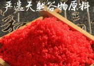 冬季钓鱼如何打窝？掌握这些技巧和方法能提高渔获吗？
