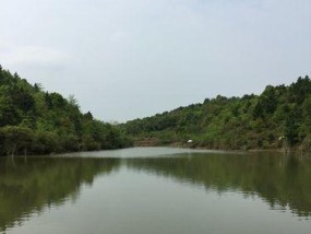 团结坝水库钓鱼技巧分享（掌握团结坝水库钓鱼的关键技巧）