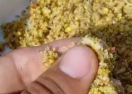 冬天钓鱼技巧小鱼闹窝怎么办？如何有效避免小鱼干扰？