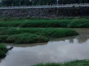 初夏流水河钓鱼技巧与方法（初夏河边垂钓，技巧助您大收获）