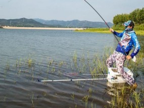以野钓钓鲤鱼起竿控鱼技巧（野钓鲤鱼）