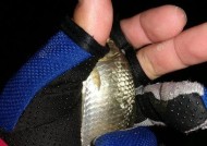 冬天夜钓鱼方法和技巧有哪些？如何提高夜钓成功率？