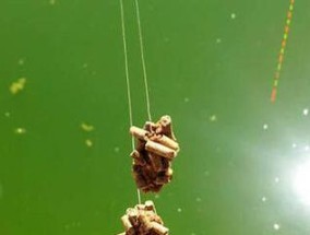 如何掌握钓鱼不滑口的技巧方法？这些方法能提高你的钓鱼成功率吗？