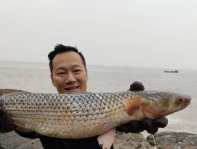 船钓大口鲈鱼的方法和技巧有哪些？如何提高钓获率？