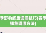 野外钓鱼调漂技巧，娴熟运用方能斩获丰收（高手分析与实操指南）