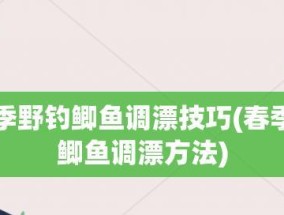 野外钓鱼调漂技巧，娴熟运用方能斩获丰收（高手分析与实操指南）