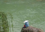 海浪河钓鱼技巧有哪些？如何应对常见问题？