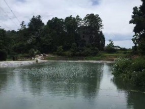 晚上黑坑钓鱼技巧（揭秘黑坑钓鱼的窍门与技术）