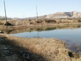 冬日钓鱼的技巧与乐趣（以小雪节气为契机）