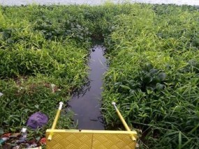 野外钓鸭子打窝技巧（掌握技巧）