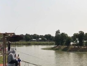 钓鱼场钓鱼最好的技巧是什么？如何提高钓鱼成功率？