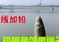冬季走水河钓鱼技巧和方法是什么？如何提高冬季走水河钓鱼的成功率？
