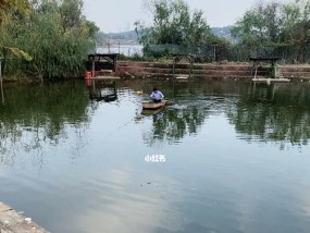 不用鱼竿，你也能轻松钓鱼（省钱又好玩）