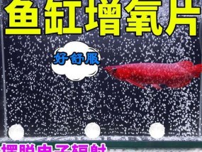 提高钓鱼效果的增氧颗粒技巧（掌握增氧颗粒的使用方法）