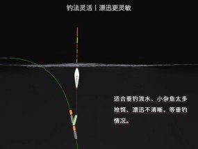 掌握双铅调漂钓鱼技巧，提升钓鱼成功率（双铅调漂钓鱼技巧全面解析，让你成为钓鱼高手）