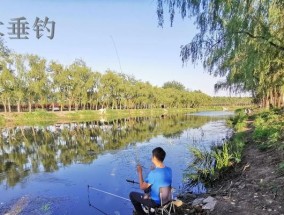 乌克兰水库钓鱼技巧与方法（深入了解乌克兰水库钓鱼的秘密）