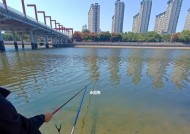 如何掌握好玩的钓鱼技巧？有哪些必备的钓鱼技巧？