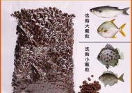 蚝排海钓沉底钓鱼技巧有哪些？如何提高成功率？