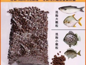 蚝排海钓沉底钓鱼技巧有哪些？如何提高成功率？