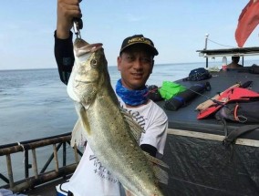 鲈鱼产后钓鱼技巧（提高钓鱼成功率的关键）
