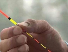 野钓电子漂调漂技巧（提升钓鱼成功率的技巧和策略）