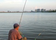 如何在海滩上进行钓鱼？掌握哪些技巧能提高成功率？