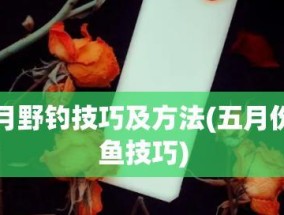 以野钓换新漂的技巧（轻松获得新漂）