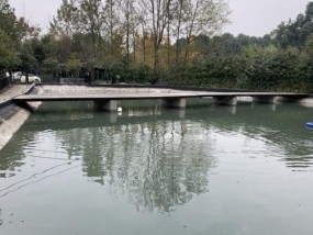 鱼塘农家院钓鱼技巧（掌握技巧）