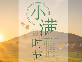 夏至钓鱼技巧大揭秘（小满到夏至）