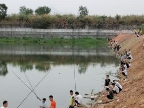 冬天在水库钓鱼有哪些技巧？如何提高钓鱼成功率？