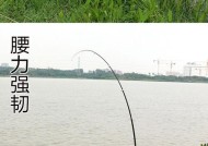 海竿钓鱼技巧半水怎么掌握？有哪些常见问题及解决方法？