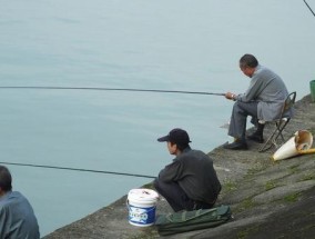 春天野钓走水技巧（掌握春天野钓的技巧，轻松捕获丰收）