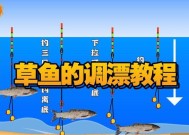 单钩钓鱼调漂技巧是什么？如何掌握正确的调漂方法？