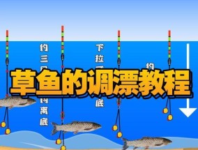 单钩钓鱼调漂技巧是什么？如何掌握正确的调漂方法？