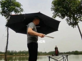 大型河道钓鱼技巧有哪些？如何提高钓鱼成功率？