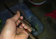 端午节夜钓如何进行？有哪些技巧和方法？